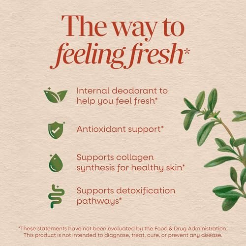 Nature's Way Chlorofresh Chlorophyll-Konzentrat Weichkapseln, Chlorophyllin-Kupfer-Komplex, Inneres Deodorant, Unterstützt gesunde Haut und Entgiftungswege*, 90 Weichkapseln (Verpackung kann variieren)