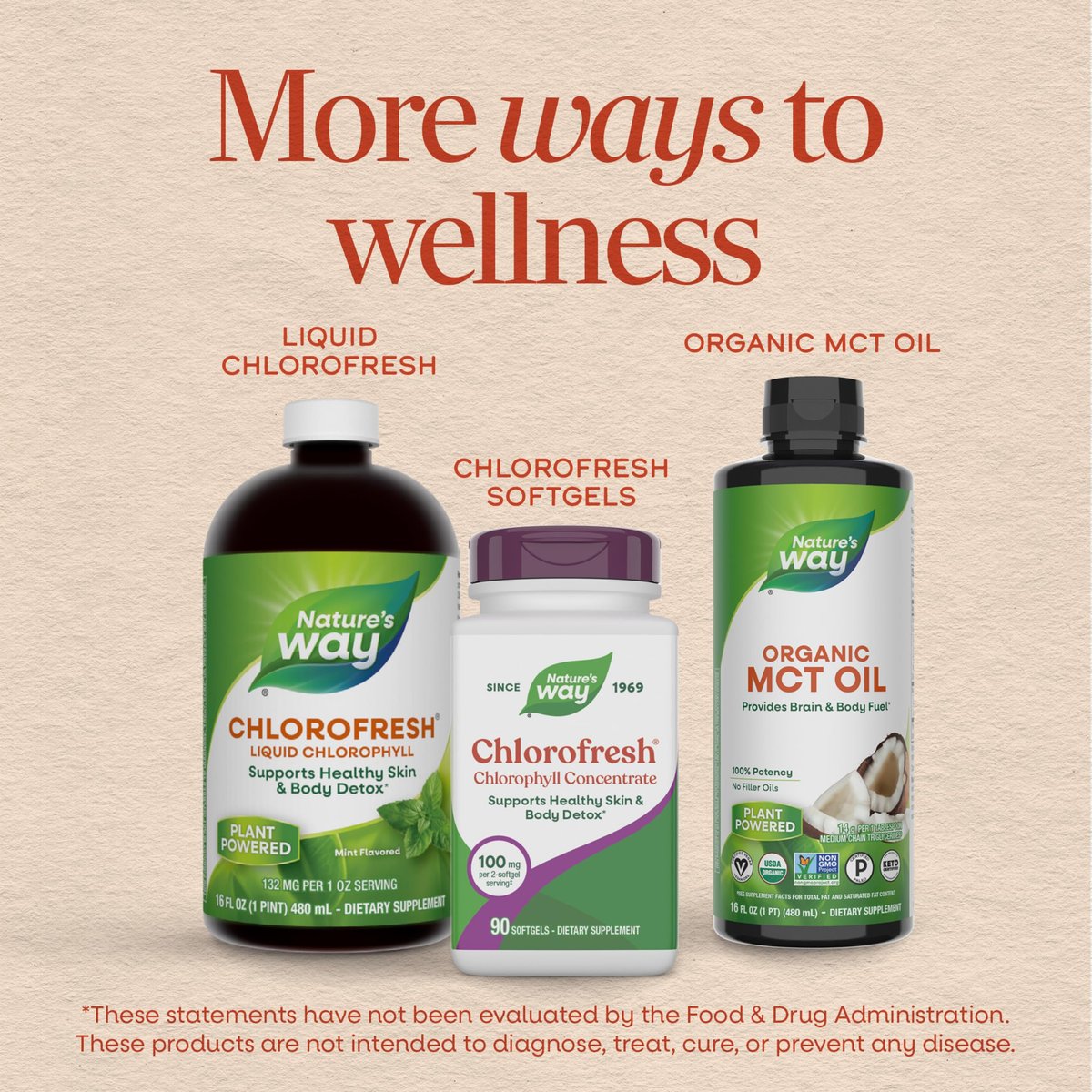 Nature's Way Chlorofresh Chlorophyll-Konzentrat Weichkapseln, Chlorophyllin-Kupfer-Komplex, Inneres Deodorant, Unterstützt gesunde Haut und Entgiftungswege*, 90 Weichkapseln (Verpackung kann variieren)