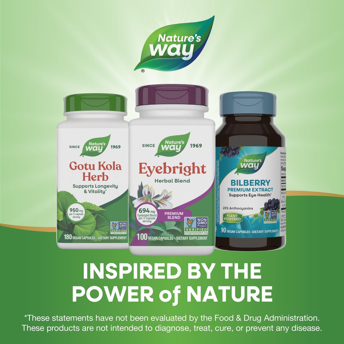Nature's Way Augentrost Premium Blend – Kräutermischung, Non-GMO, vegan, 100 Kapseln