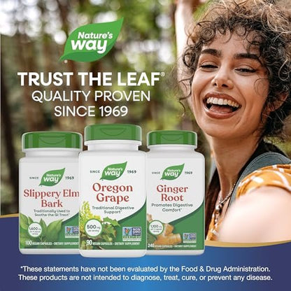 Nature's Way Oregon Grape – Traditionelle Verdauungsunterstützung*, Non-GMO Project verifiziert, 500 mg pro Portion, 90 Kapseln (Verpackung kann variieren)