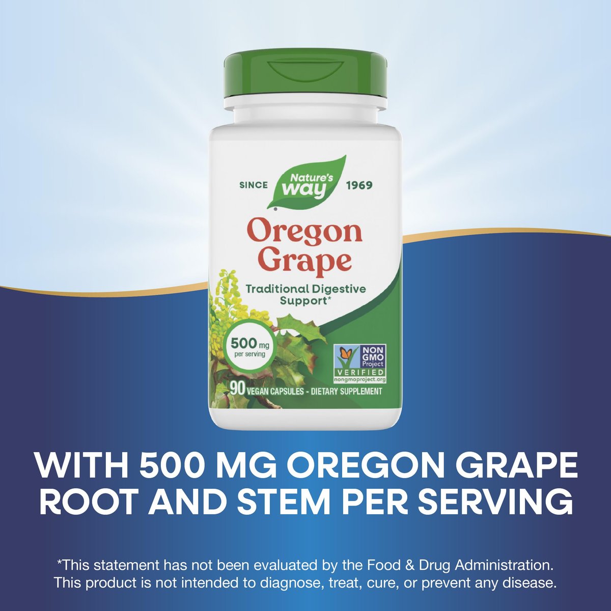Nature's Way Oregon Grape – Traditionelle Verdauungsunterstützung*, Non-GMO Project verifiziert, 500 mg pro Portion, 90 Kapseln (Verpackung kann variieren)