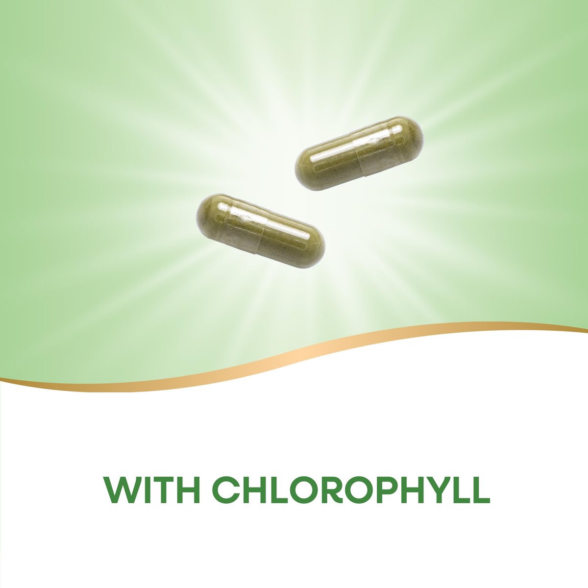 Nature's Way Premium Kräuter Petersilienblatt – Chlorophyllquelle, 100 vegane Kapseln