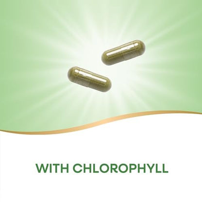 Nature's Way Premium Kräuter Petersilienblatt – Chlorophyllquelle, 100 vegane Kapseln