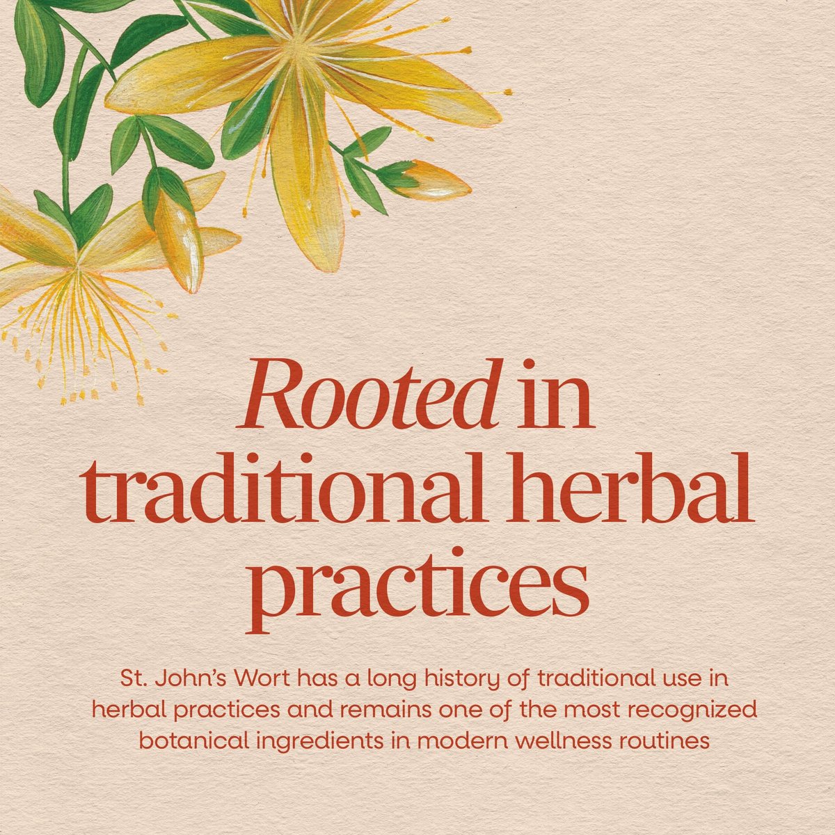Nature's Way Johanniskraut Kapseln, pflanzliches Nahrungsergänzungsmittel für eine positive Stimmung*, 700 mg pro 2-Kapsel-Portion, Non-GMO Project verifiziert, vegan, 180 Kapseln