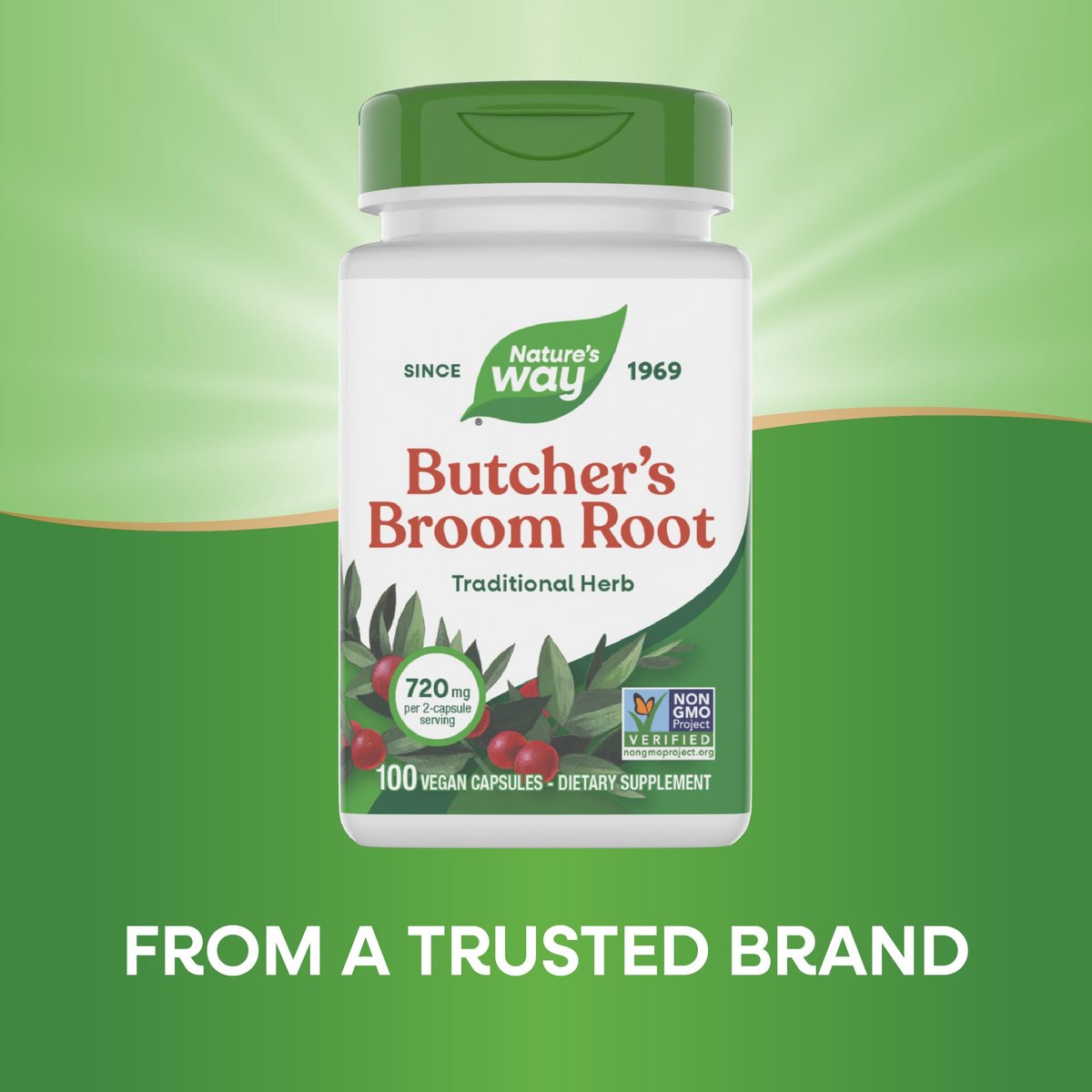 Nature's Way Mäusedorn – Traditionelles Kräuterpräparat, 720 mg pro 2-Kapsel-Portion, Non-GMO Project verifiziert, 100 vegane Kapseln (Verpackung kann variieren)