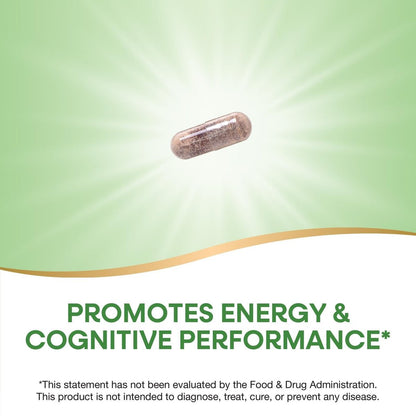 Nature's Way Rhodiola Premium Extrakt - 250 mg pro Portion, unterstützt Energie und kognitive Leistung*, adaptogenes Kraut*, Non-GMO Project verifiziert, vegan, glutenfrei, 60 Kapseln
