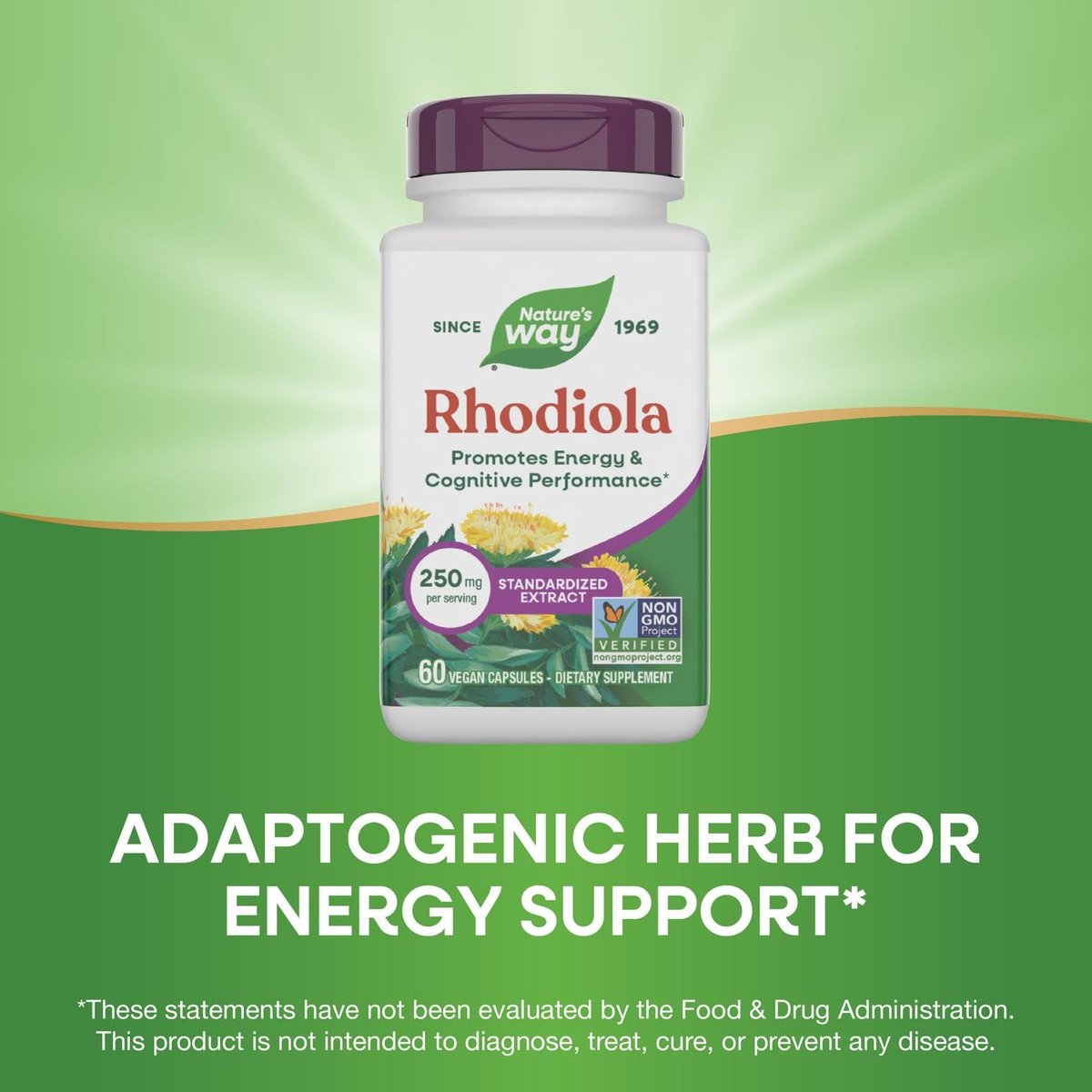 Nature's Way Rhodiola Premium Extrakt - 250 mg pro Portion, unterstützt Energie und kognitive Leistung*, adaptogenes Kraut*, Non-GMO Project verifiziert, vegan, glutenfrei, 60 Kapseln