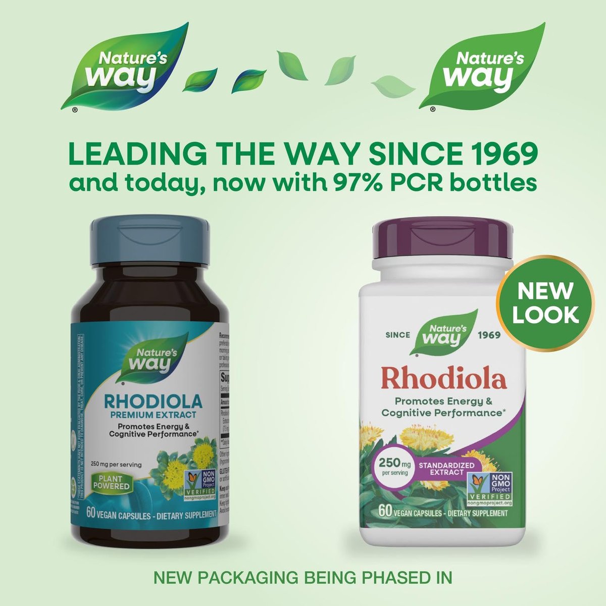 Nature's Way Rhodiola Premium Extrakt - 250 mg pro Portion, unterstützt Energie und kognitive Leistung*, adaptogenes Kraut*, Non-GMO Project verifiziert, vegan, glutenfrei, 60 Kapseln