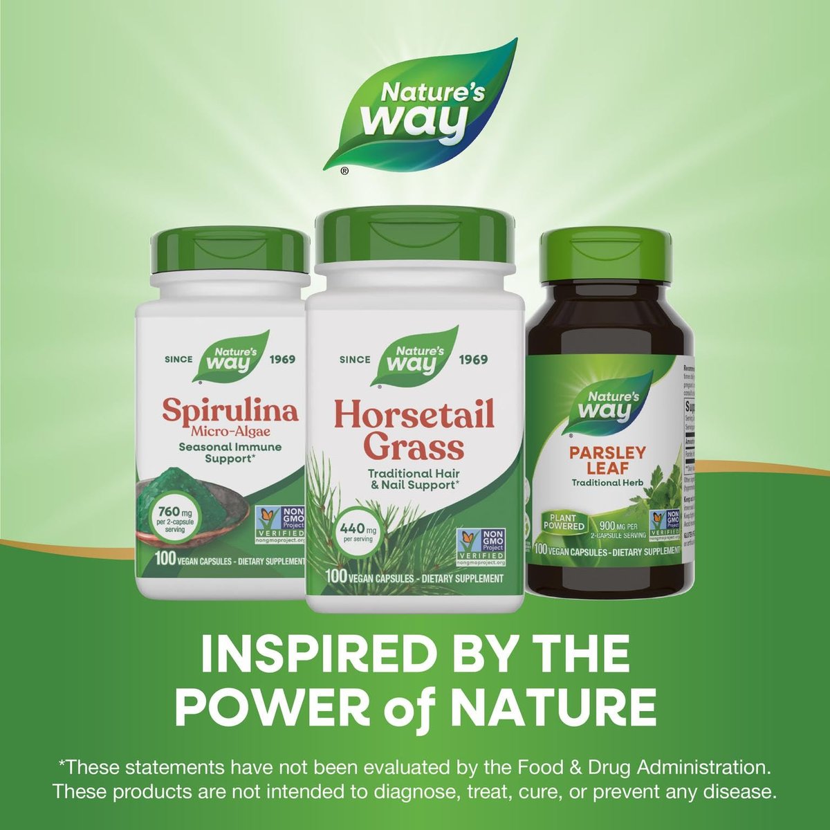 Nature's Way Premium Kräuter-Schachtelhalm 440 mg, 100 Kapseln