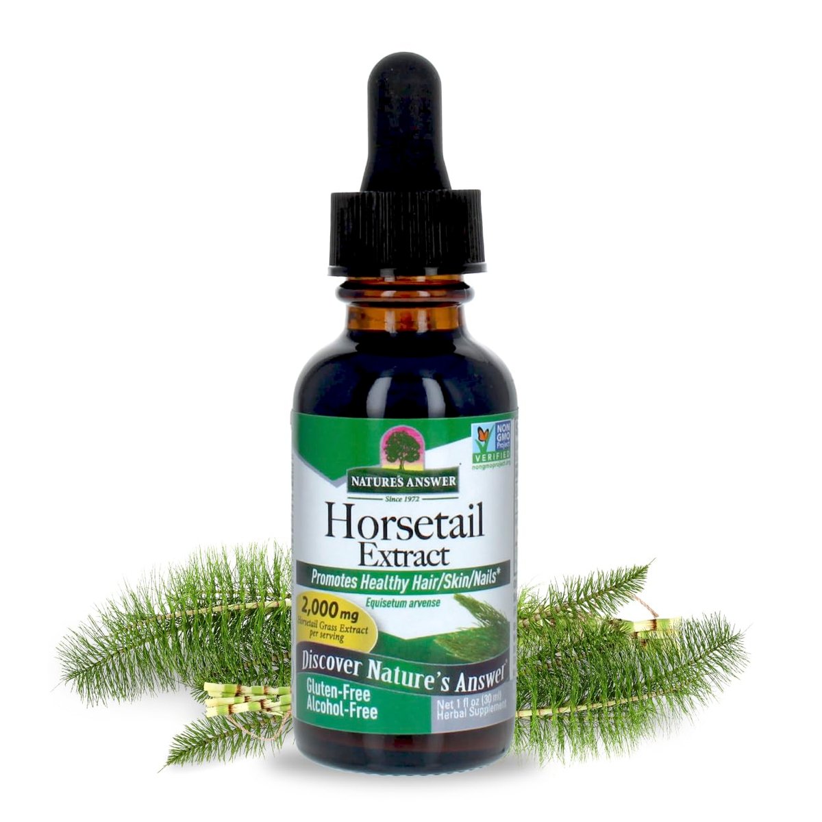 Nature's Answer Schachtelhalm | Fördert gesundes Haar, Haut & Nägel | Hergestellt in den USA | Glutenfrei, alkoholfrei, koscher zertifiziert & ohne Konservierungsstoffe 30 ml