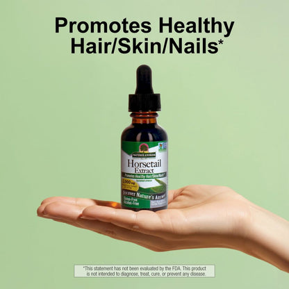 Nature's Answer Schachtelhalm | Fördert gesundes Haar, Haut & Nägel | Hergestellt in den USA | Glutenfrei, alkoholfrei, koscher zertifiziert & ohne Konservierungsstoffe 30 ml