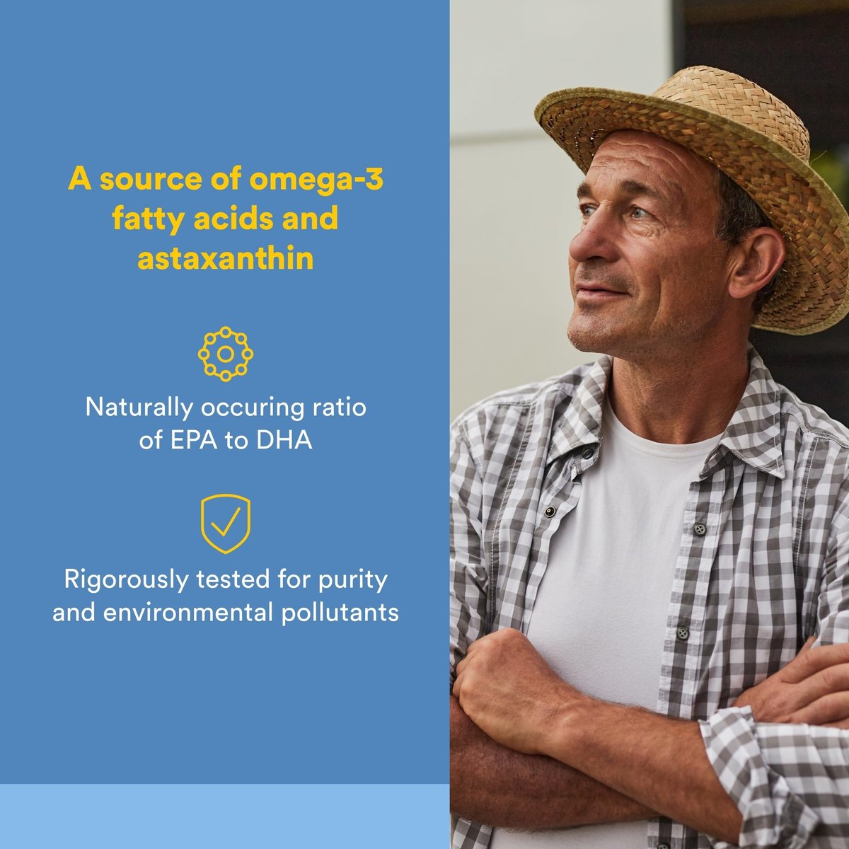 Omega Factors von Natural Factors – Wilder Alaskan Lachsöl für Herz- und Gehirngesundheit mit Omega-3 DHA und EPA, 90 Weichkapseln