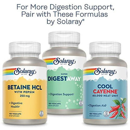 SOLARAY Bio-Ingwer 1080 mg – Organisches Ingwerpräparat gegen Übelkeit und Erbrechen bei Reisekrankheit, unterstützt die Gelenkgesundheit – Vegan, nicht müde machend, 60-Tage-Garantie, 50 Portionen
