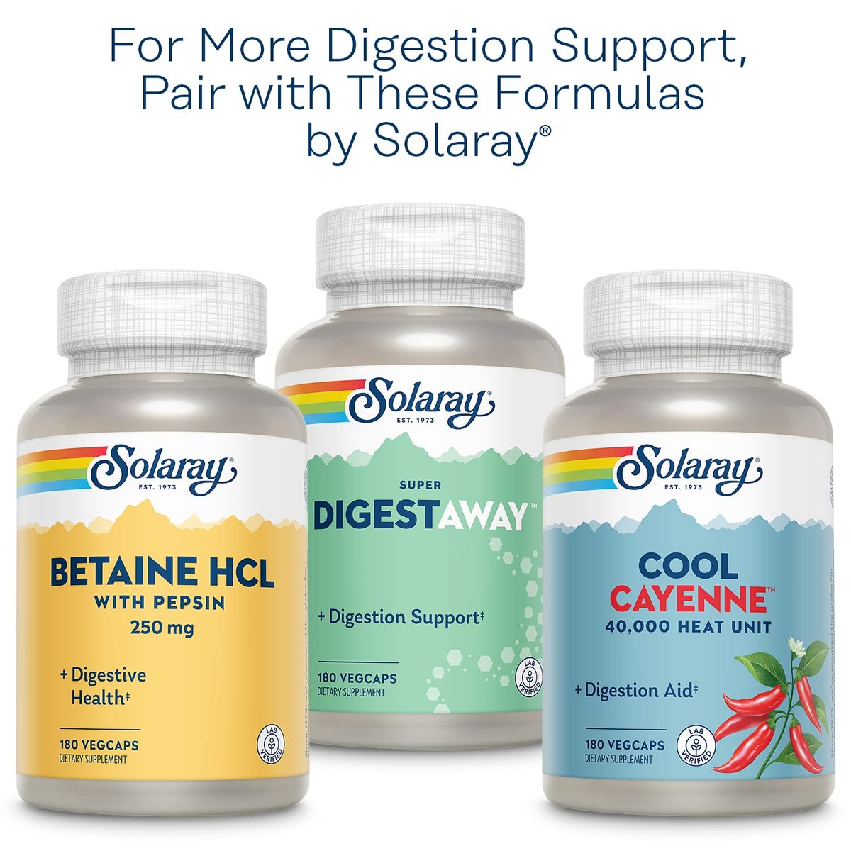 SOLARAY Bio-Ingwer 1080 mg – Organisches Ingwerpräparat gegen Übelkeit und Erbrechen bei Reisekrankheit, unterstützt die Gelenkgesundheit – Vegan, nicht müde machend, 60-Tage-Garantie, 50 Portionen