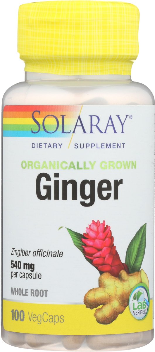 SOLARAY Bio-Ingwer 1080 mg – Organisches Ingwerpräparat gegen Übelkeit und Erbrechen bei Reisekrankheit, unterstützt die Gelenkgesundheit – Vegan, nicht müde machend, 60-Tage-Garantie, 50 Portionen