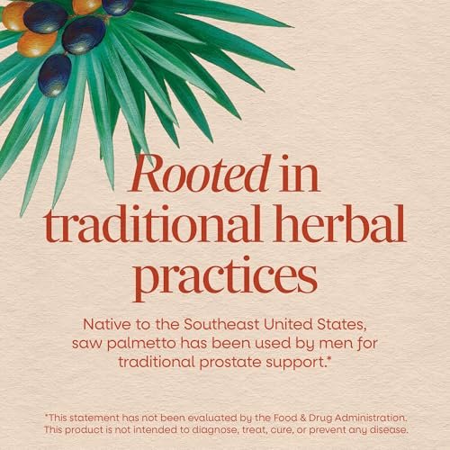 Nature's Way Sägepalmenbeeren – Traditionelle Prostatagesundheit,* Nahrungsergänzungsmittel für Männer, 585 mg pro Portion, Non-GMO Project verifiziert, vegane Kapseln, 100 Stück
