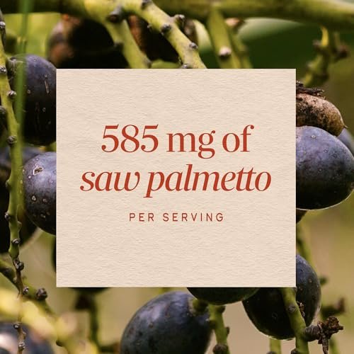 Nature's Way Sägepalmenbeeren – Traditionelle Prostatagesundheit,* Pflanzliches Nahrungsergänzungsmittel für Männer, 585 mg pro Portion, Non-GMO Project verifiziert, vegane Kapseln, 180 Stück