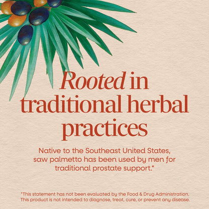 Nature's Way Sägepalmenbeeren – Traditionelle Prostatagesundheit,* Nahrungsergänzungsmittel für Männer, 585 mg pro Portion, Non-GMO Project verifiziert, vegane Kapseln, 100 Stück