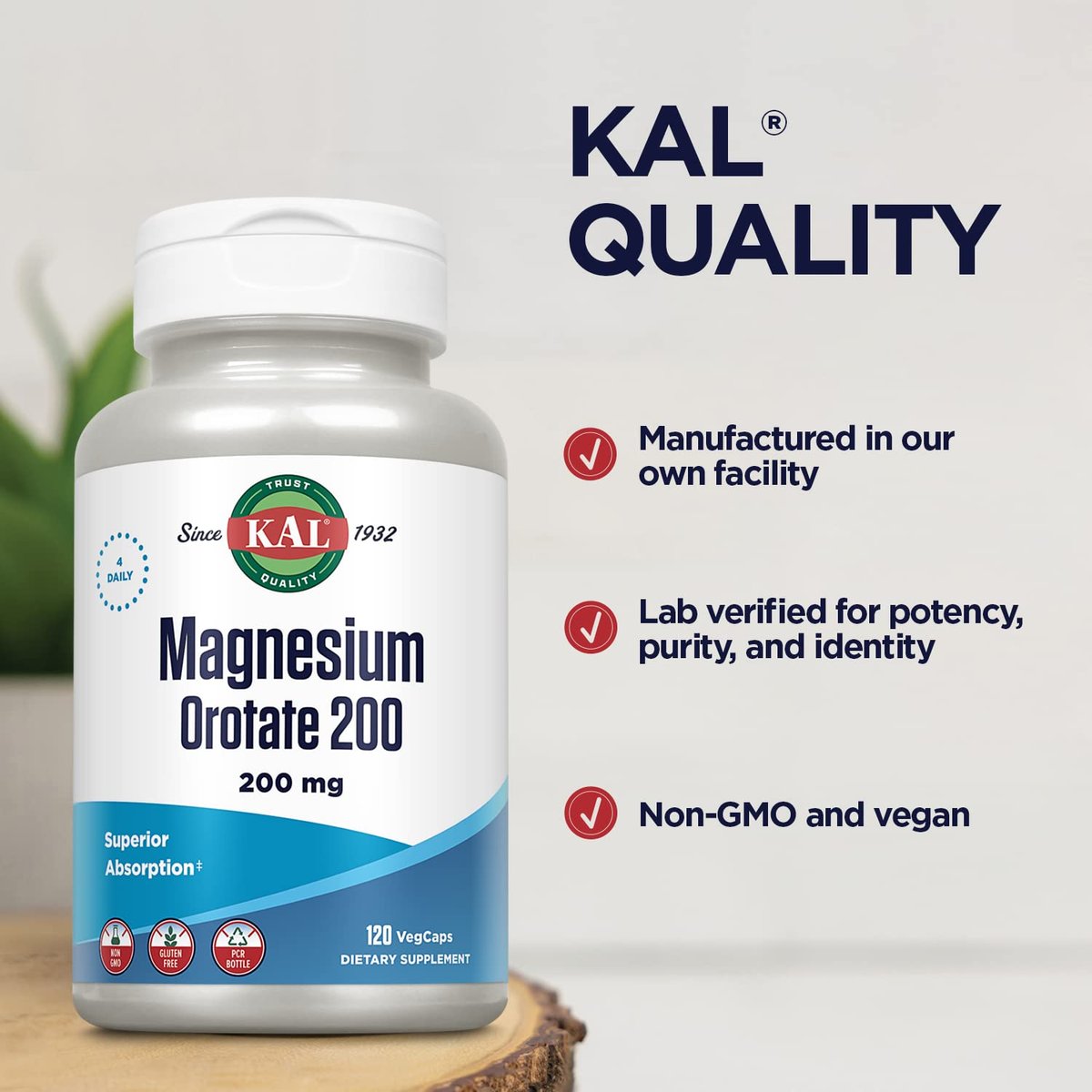 KAL Magnesium Orotat Tabletten, 60 Stück – Hochbioverfügbares Magnesiumpräparat