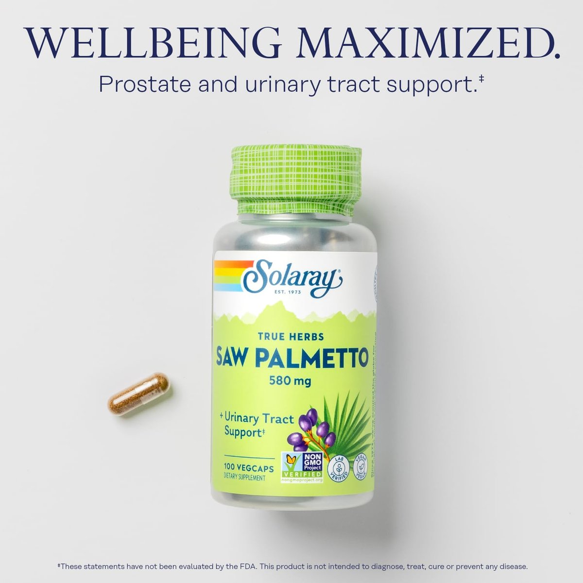 SOLARAY Sägepalme Beere 580 mg – Gesunde Prostata & Harnwege Unterstützung durch Fettsäuren & Pflanzensterine für Männer und Frauen, Non-GMO, Vegan & Laborgeprüft, 100 VegCaps, 100 Portionen