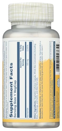 SOLARAY Niacinamid 500 mg | Vitamin B-3 | Unterstützung für Energiestoffwechsel, Kreislauf, Nerven & Hautgesundheit, 100 Kapseln