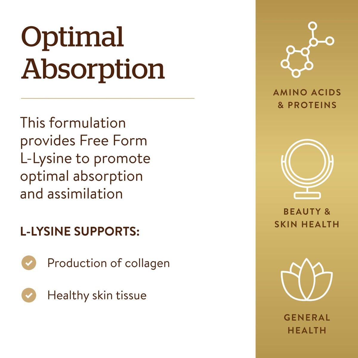 Solgar L-Lysin 1000 mg, 100 Tabletten – Optimale Absorption, unterstützt Haut- und Lippengesundheit, Kollagenaufbau, Vegan, Glutenfrei, Nicht-GVO