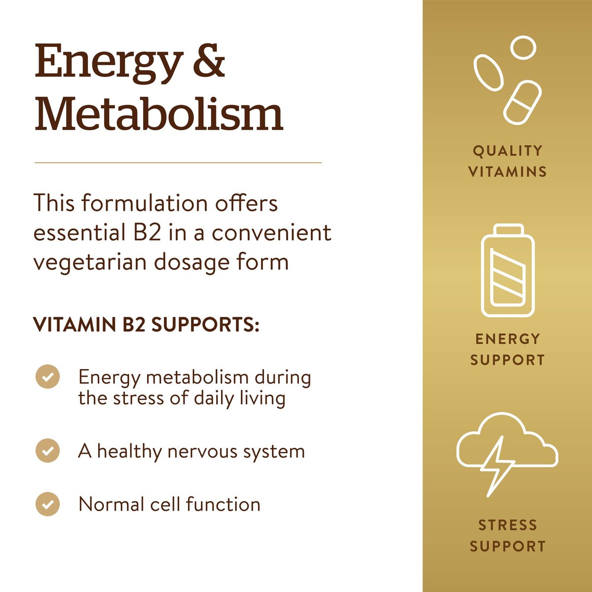 Solgar Vitamin B2 (Riboflavin) 100 mg – 100 vegane Kapseln für Energiestoffwechsel & Nervensystem – Nicht-GVO, glutenfrei, laktosefrei, koscher