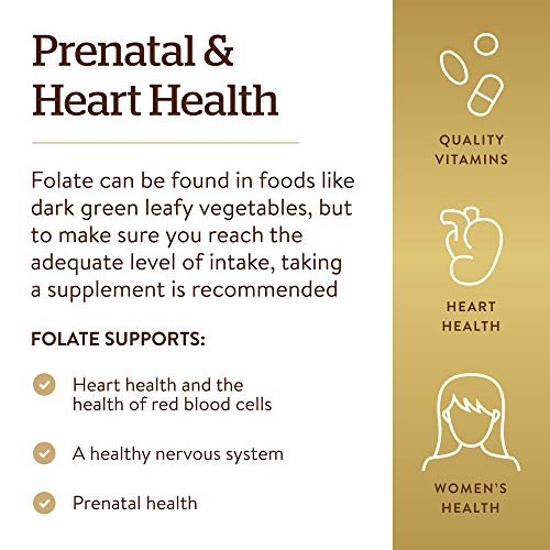 Solgar Folat 1.333 µg Nahrungsfolat-Äquivalent (800 µg Folsäure), 250 Tabletten - Herzgesundheit, Gesundes Nervensystem, Schwangerschaftsvorsorge - Nicht-GMO, Vegan, Glutenfrei, Laktosefrei - 250 Portionen