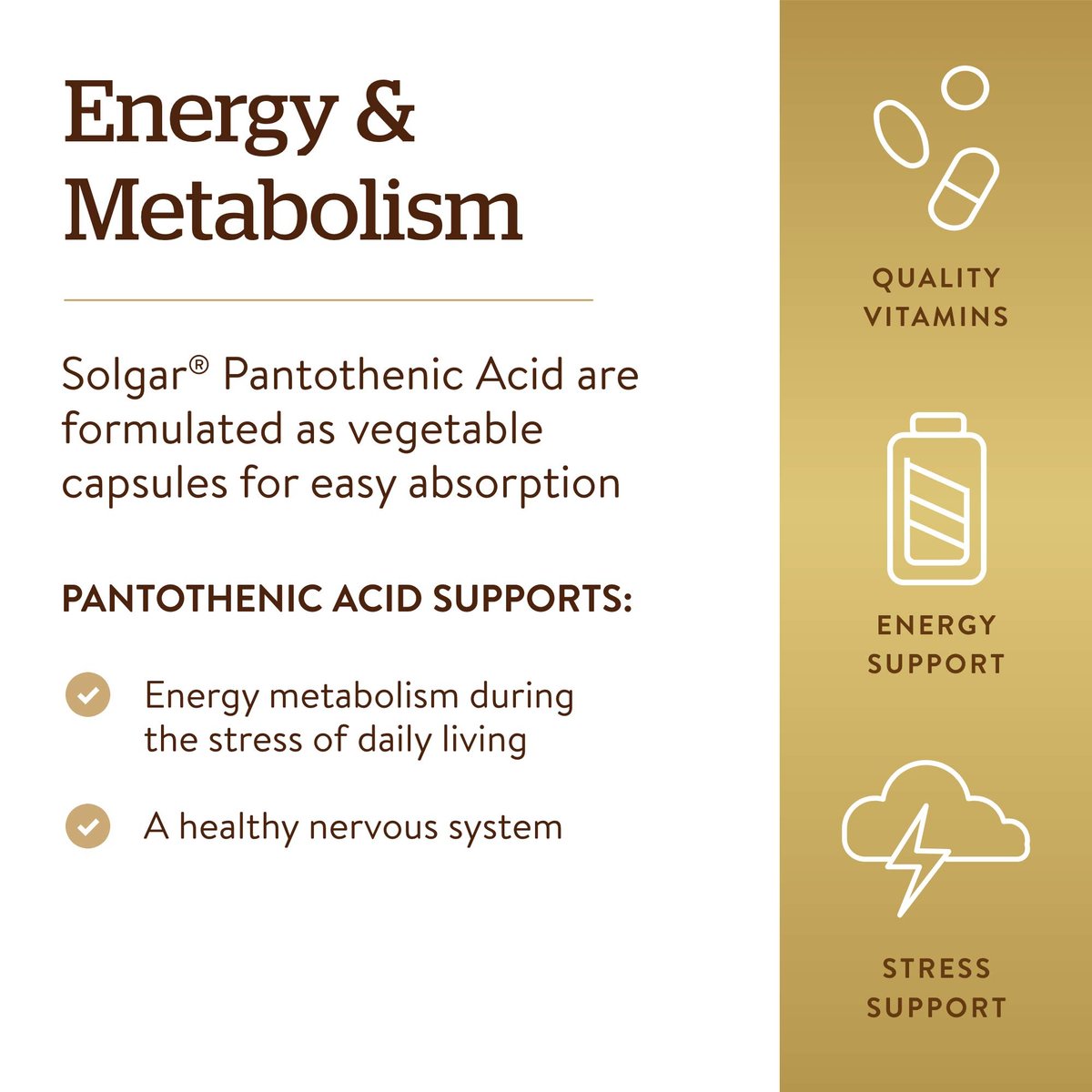 Solgar Pantothensäure 550 mg – Vitamin B5 Kapseln für Energiestoffwechsel und Nervensystem, 100 Stück, glutenfrei, laktosefrei, koscher
