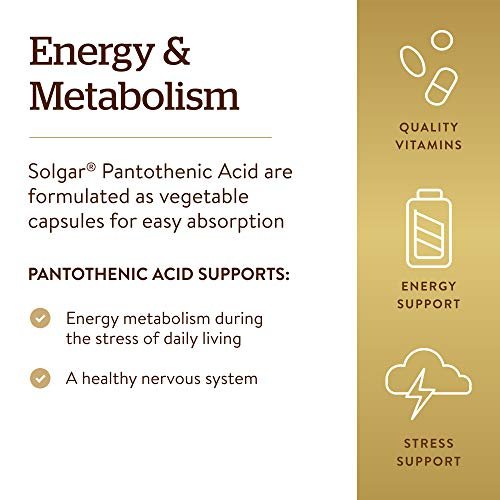 Solgar Pantothensäure 550 mg – Vitamin B5 Kapseln für Energiestoffwechsel und Nervensystem, 100 Stück, glutenfrei, laktosefrei, koscher