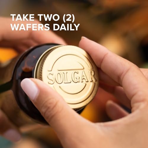 Solgar Kautabletten Calcium 500 mg – 120 Stück – Unterstützt die Gesundheit des Bewegungsapparats – Nicht-GMO, vegan, gluten-, weizen- und milchfrei, koscher – 60 Portionen