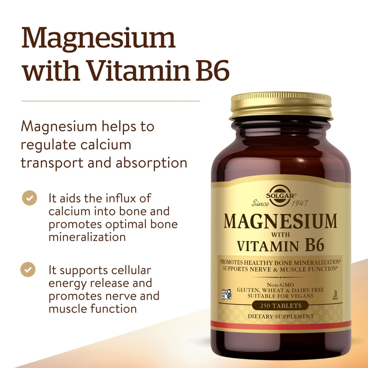 Solgar Magnesium mit Vitamin B6, 250 Tabletten – Unterstützt gesunde Knochenmineralisierung, Nerven- & Muskelfunktion, Energiestoffwechsel – Nicht-GMO, Vegan, Glutenfrei, Milchfrei, Koscher – 83 Portionen