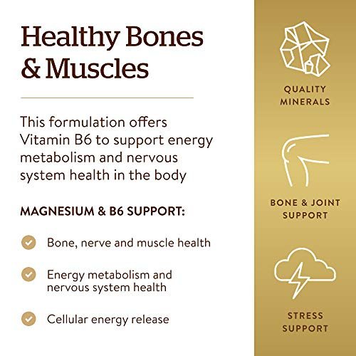 Solgar Magnesium mit Vitamin B6, 250 Tabletten – Unterstützt gesunde Knochenmineralisierung, Nerven- & Muskelfunktion, Energiestoffwechsel – Nicht-GMO, Vegan, Glutenfrei, Milchfrei, Koscher – 83 Portionen