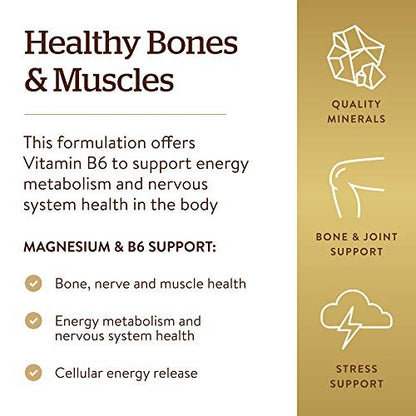 Solgar Magnesium mit Vitamin B6, 250 Tabletten – Unterstützt gesunde Knochenmineralisierung, Nerven- & Muskelfunktion, Energiestoffwechsel – Nicht-GMO, Vegan, Glutenfrei, Milchfrei, Koscher – 83 Portionen