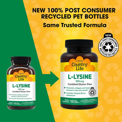 Country Life L-Lysin 500 mg mit B-6 – Unterstützt die Immungesundheit, fördert die Kollagenerneuerung in Lippen und Mund – 100 vegane Kapseln, zertifiziert glutenfrei, zertifiziert vegan