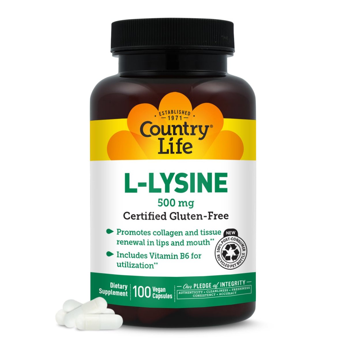 Country Life L-Lysin 500 mg mit B-6 – Unterstützt die Immungesundheit, fördert die Kollagenerneuerung in Lippen und Mund – 100 vegane Kapseln, zertifiziert glutenfrei, zertifiziert vegan