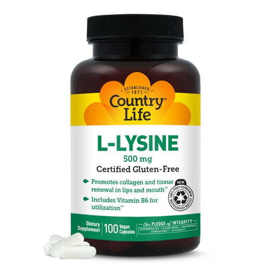 Country Life L-Lysin 500 mg mit B-6 – Unterstützt die Immungesundheit, fördert die Kollagenerneuerung in Lippen und Mund – 100 vegane Kapseln, zertifiziert glutenfrei, zertifiziert vegan