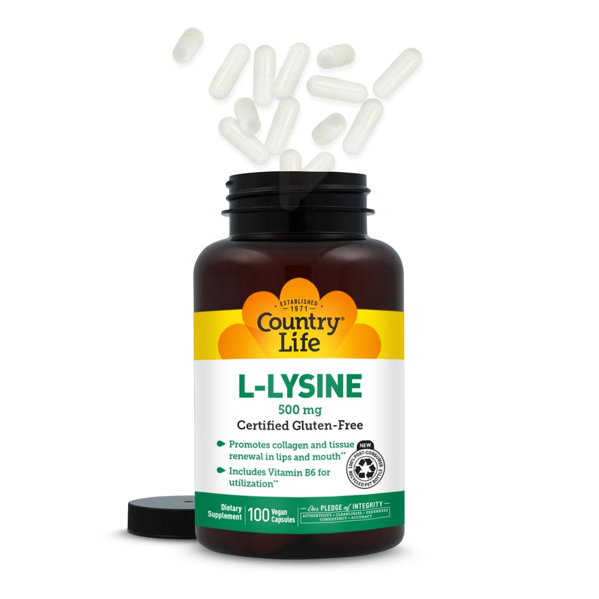 Country Life L-Lysin 500 mg mit B-6 – Unterstützt die Immungesundheit, fördert die Kollagenerneuerung in Lippen und Mund – 100 vegane Kapseln, zertifiziert glutenfrei, zertifiziert vegan