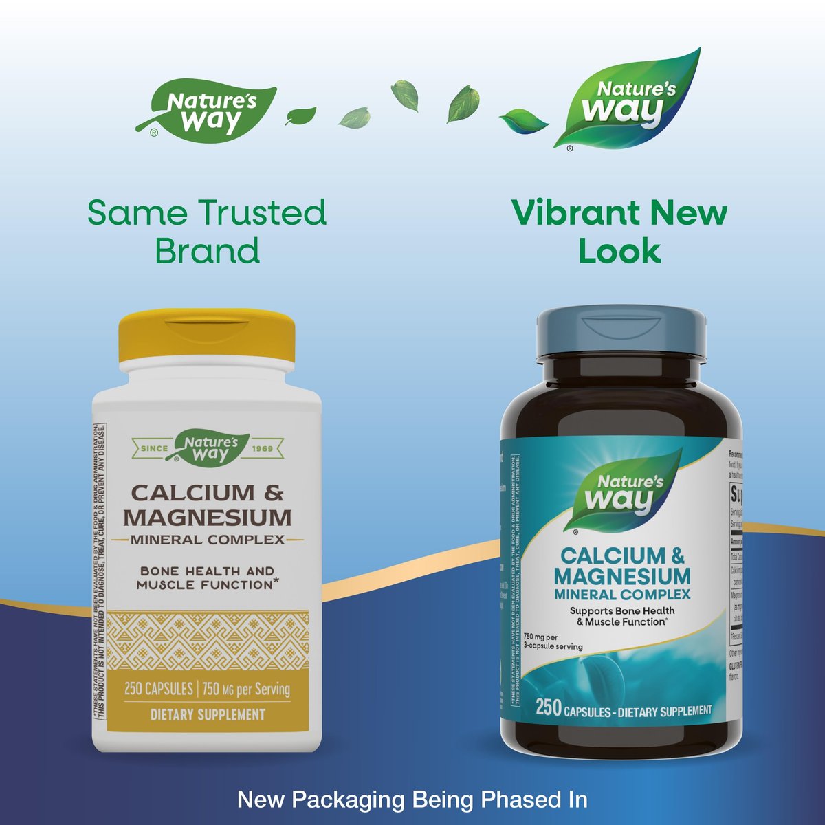 Nature's Way Calcium & Magnesium Mineral Complex – 250 Kapseln zur Unterstützung der Knochengesundheit und Muskelfunktion