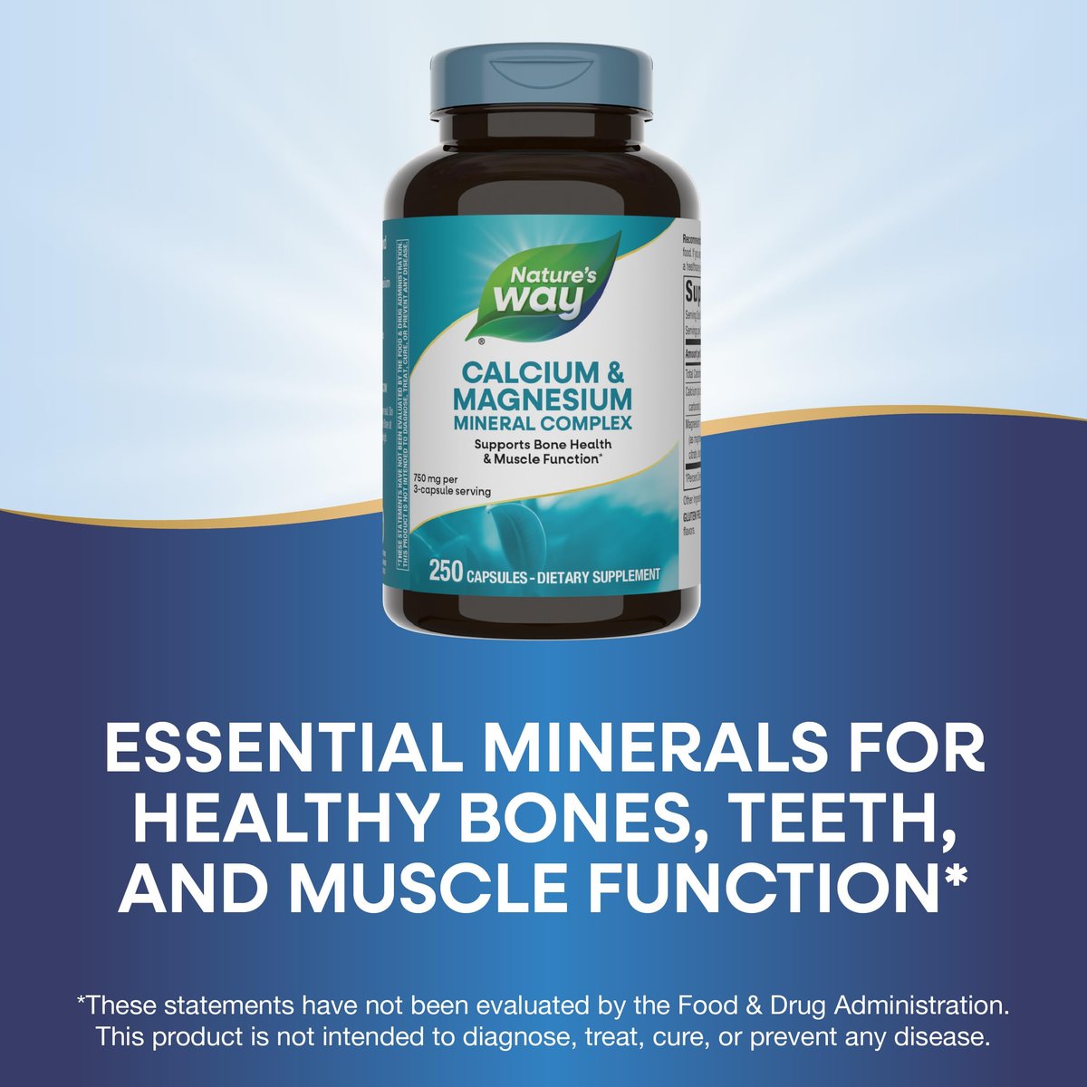 Nature's Way Calcium & Magnesium Mineral Complex – 250 Kapseln zur Unterstützung der Knochengesundheit und Muskelfunktion