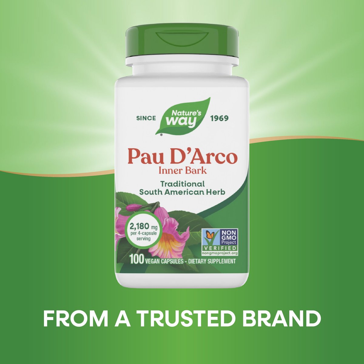 Nature's Way PAU d'Arco Innere Rinde, traditionelles südamerikanisches Kraut, 2.180 mg pro 4-Kapseln-Portion, Non-GMO Project verifiziert, 100 Kapseln (Verpackung kann variieren)