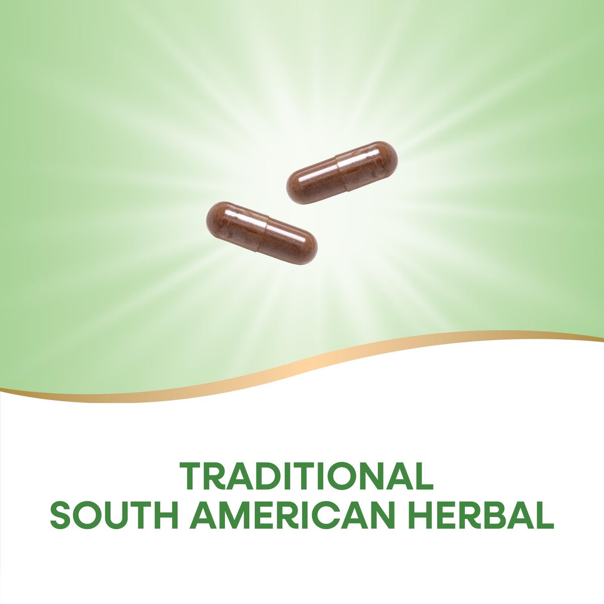 Nature's Way PAU d'Arco Innere Rinde, traditionelles südamerikanisches Kraut, 2.180 mg pro 4-Kapseln-Portion, Non-GMO Project verifiziert, 100 Kapseln (Verpackung kann variieren)