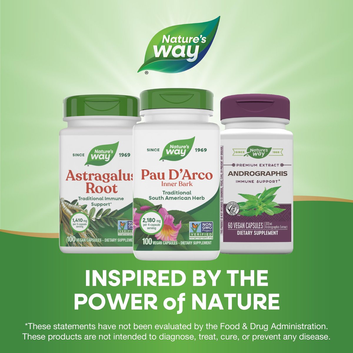 Nature's Way PAU d'Arco Innere Rinde, traditionelles südamerikanisches Kraut, 2.180 mg pro 4-Kapseln-Portion, Non-GMO Project verifiziert, 100 Kapseln (Verpackung kann variieren)