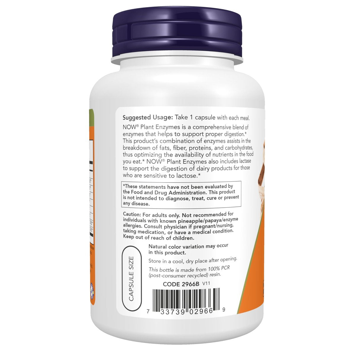 NOW Foods Pflanzliche Enzyme mit Laktase, Protease, Papain und Bromelain – 120 vegane Kapseln