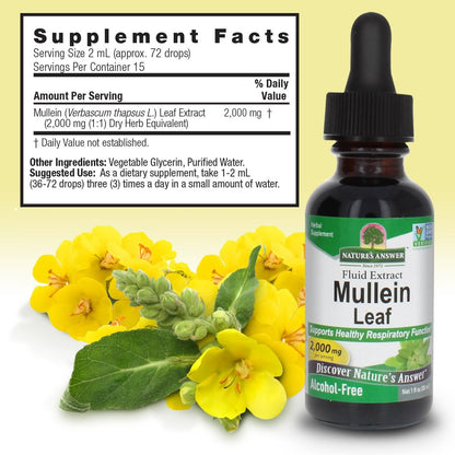 Nature's Answer Mulleinblatt-Extrakt – Alkoholfrei, Nicht GVO, Hergestellt in den USA – Unterstützt die Atemfunktion und fördert gesunde Lungen – 30 ml