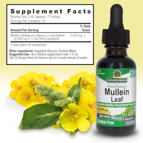 Nature's Answer Mulleinblatt-Extrakt – Alkoholfrei, Nicht GVO, Hergestellt in den USA – Unterstützt die Atemfunktion und fördert gesunde Lungen – 30 ml