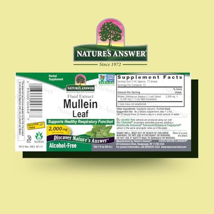 Nature's Answer Mulleinblatt-Extrakt – Alkoholfrei, Nicht GVO, Hergestellt in den USA – Unterstützt die Atemfunktion und fördert gesunde Lungen – 30 ml