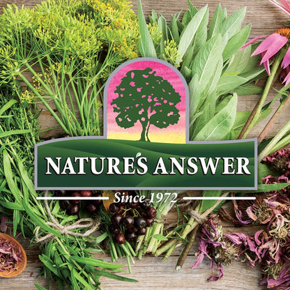 Nature's Answer Mulleinblatt-Extrakt – Alkoholfrei, Nicht GVO, Hergestellt in den USA – Unterstützt die Atemfunktion und fördert gesunde Lungen – 30 ml