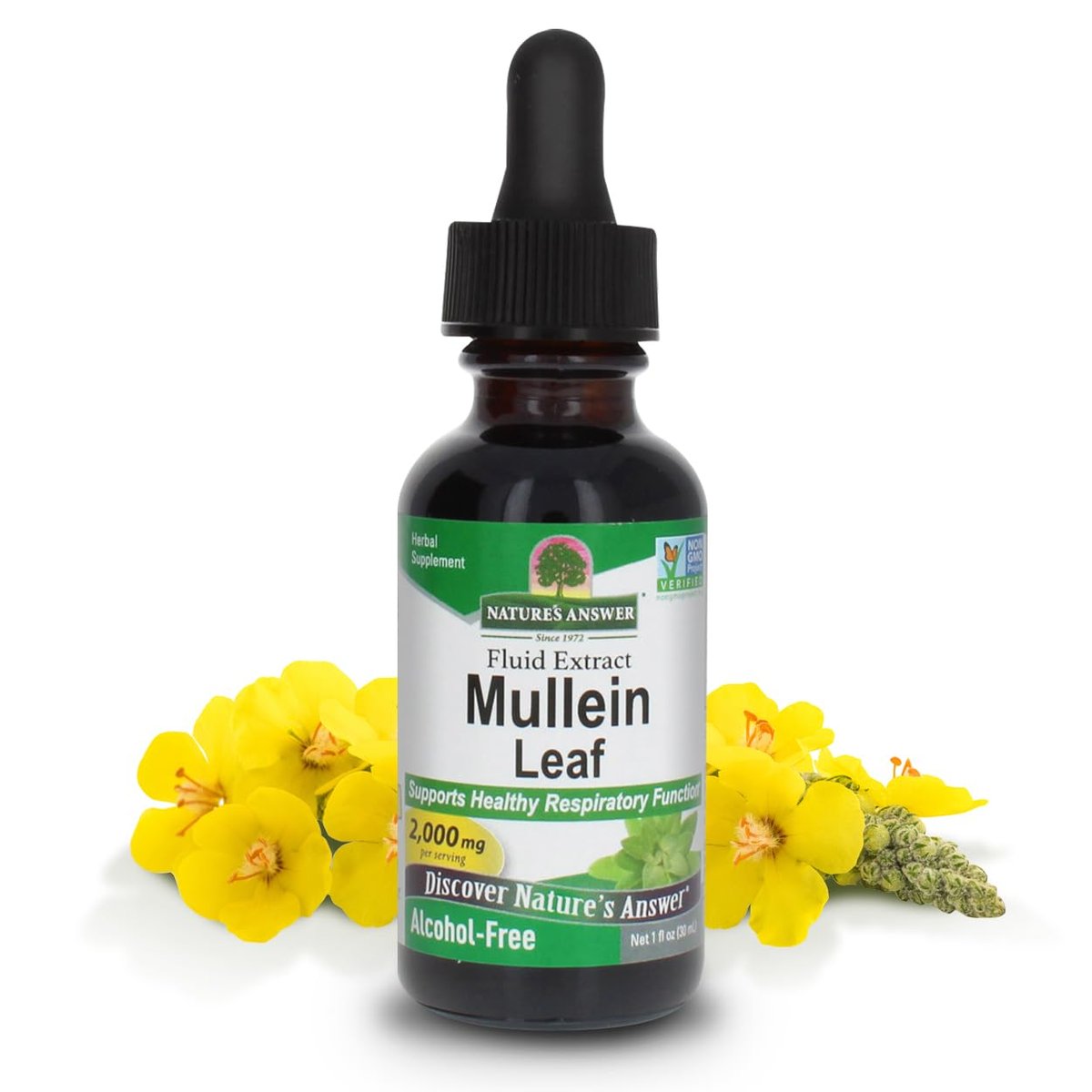 Nature's Answer Mulleinblatt-Extrakt – Alkoholfrei, Nicht GVO, Hergestellt in den USA – Unterstützt die Atemfunktion und fördert gesunde Lungen – 30 ml