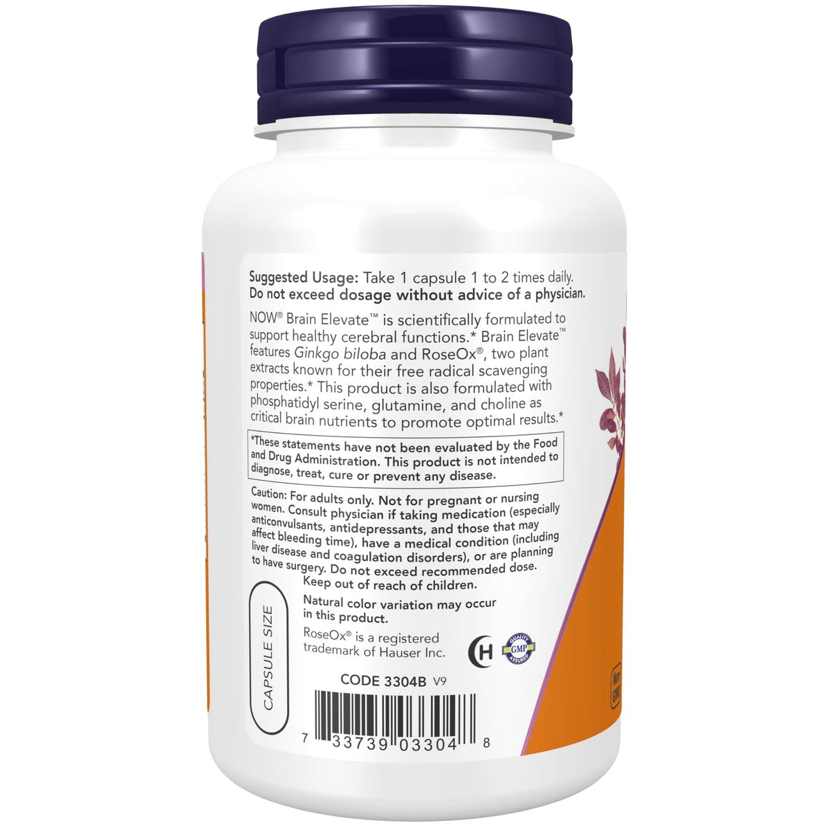 NOW Foods Brain Elevate™ mit Ginkgo Biloba, RoseOx® und Phosphatidylserin, 120 vegane Kapseln